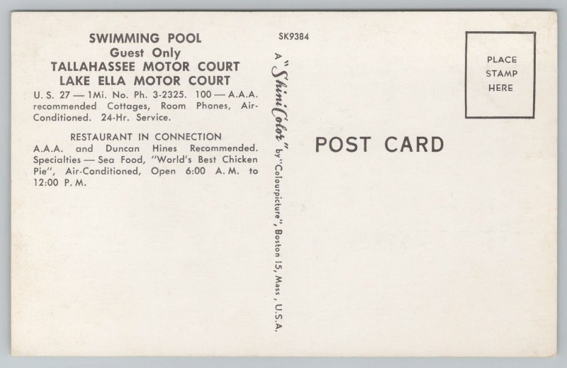 Roadside Motel~Tallahassee Motel & Lake Ella Motor Court Pool~Vintage Postcard 