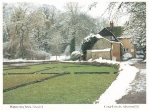 Watercress Beds Alresford Hampshire At Winter Postcard