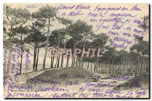 Old Postcard Arcachon Route Modeau