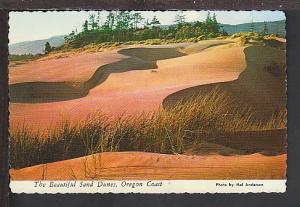 Sand Dunes Oregon Coast Postcard BIN 