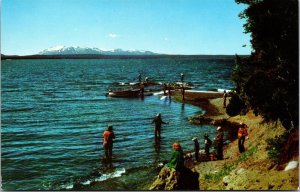 Vtg Wyoming WY Fishing in Yellowstone Lake National Park 1950s View Postcard