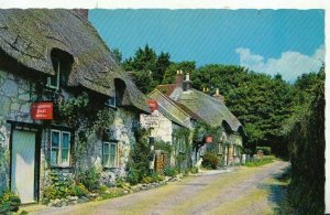 Isle of Wight Postcard - Brighstone - Showing Post Office - Ref TZ6431