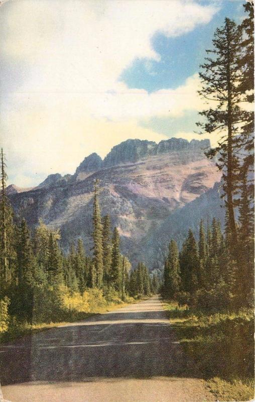 Going-to-the-Sun Highway Garden Wall Glacier National Park Montana 1951 Postcard