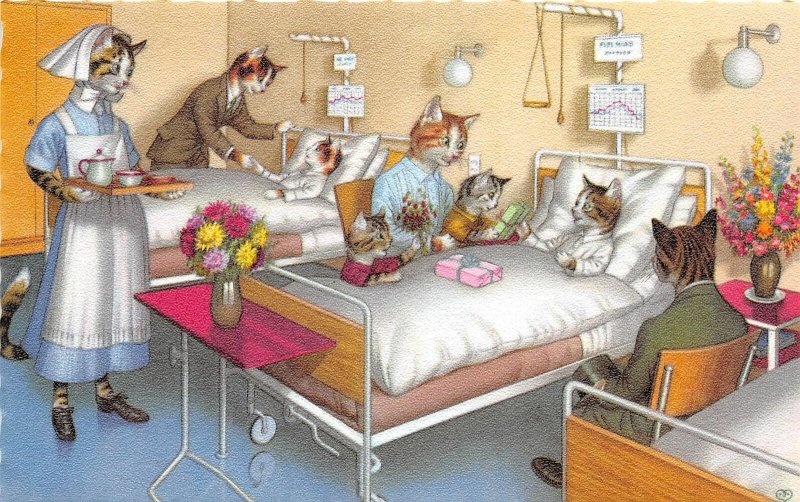 F85/ Alfred Mainzer Dressed Cats Animal Postcard c1950s Hospital Bed 26