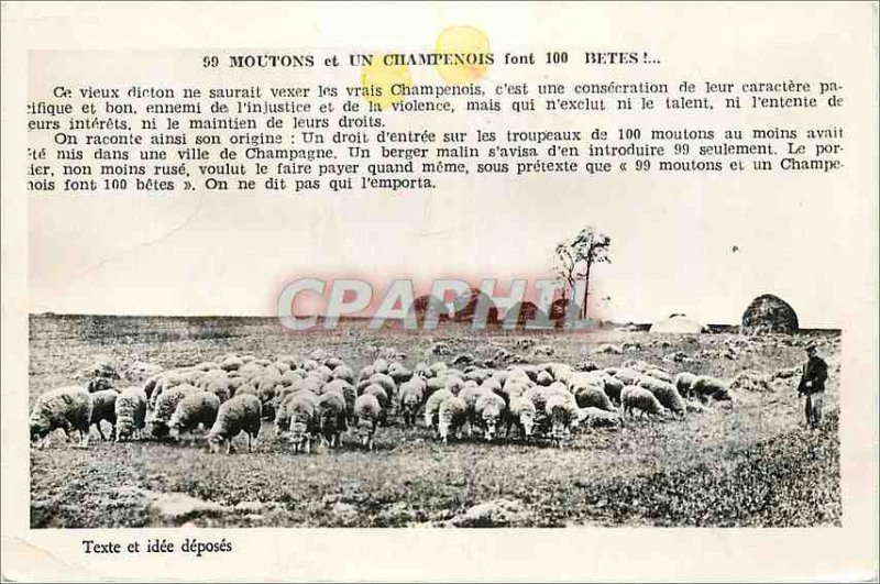 Old Postcard Sheep and A Champenois are 100 Beasts Troyes (Aube)