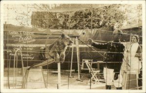 Circus Lion Leona & Trainer Captain Engarer Mme Frances Publ in Dayton OH RPPC