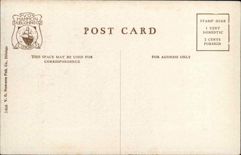 Marshall Field & Co Department Dept Store Cross-Section c1910 Postcard 