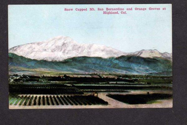 CA Mt San Bernardino Orange Groves Highland Calif California Postcard PC