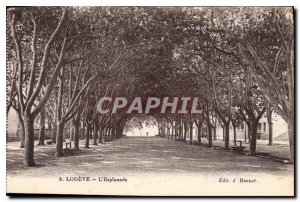 Old Postcard LODEVE Esplanade