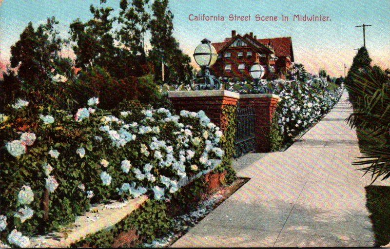 California Typical Street Scene In Midwinter 1910