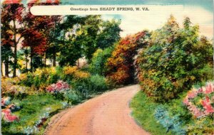 1940s Greetings from Shady Spring West Virginia Country Road Postcard