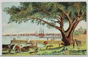 Philadelphia PA Treaty Elm on the Delaware River 1908 Frederick MD Postcard P19