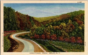 Scenic, Greetings from Delhi NY Vintage Linen Postcard B44