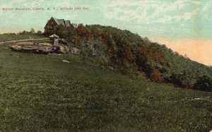 Vintage Postcard 1910's Walnut Mountain Liberty New York NY American News Pub.