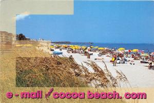 BF36372 url paradise photo cocoa beach   USA  front/back scan