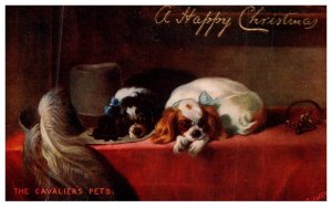 Dog , King Cavalier's , Happy Christmas