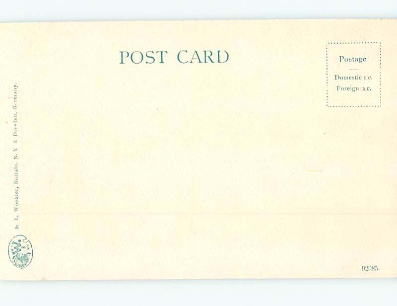 Pre-1907 BRIDGE SCENE Buffalo New York NY H9163