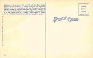 Davis Street Newberrys Five & Dime Culpepper Virginia linen postcard