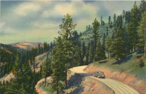 1940s Pecos River Drive, Near Las Vegas & Santa Fe New Mexico  Vintage Postcard