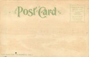 1904 St. Louis MO Worlds Fair Hold-to-Light Postcard US Government Building nice