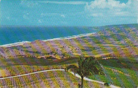 Barbados St Peter View From Cherry Tree Hill 1957