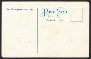 Come Along with the Outfit Cowgirl Cowboy Risque Comic Postcard 1910s