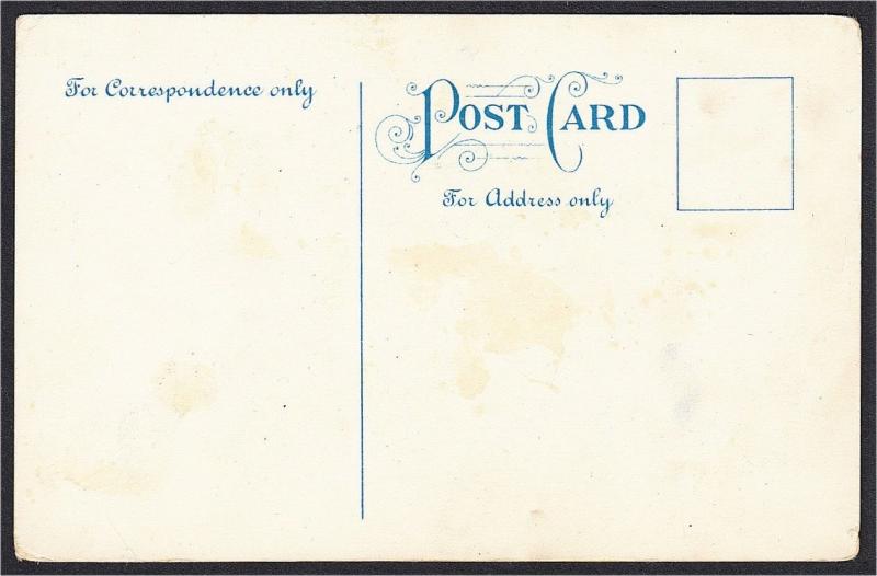 Come Along with the Outfit Cowgirl Cowboy Risque Comic Postcard 1910s