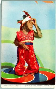 Little Chief Pancho Monkey At Zoo Saint Louis Missouri MO UNP Chrome Postcard H6