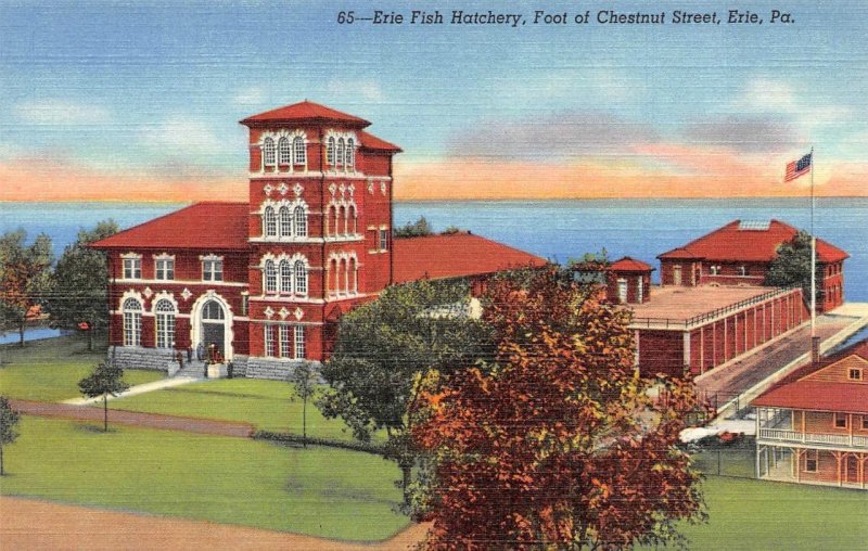 Erie, PA Pennsylvania  FISH HATCHERY~Chestnut Street  ca1940's Curteich Postcard