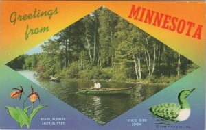 America Postcard - Greetings From Minnesota. State Flower and Bird Loon RS38617