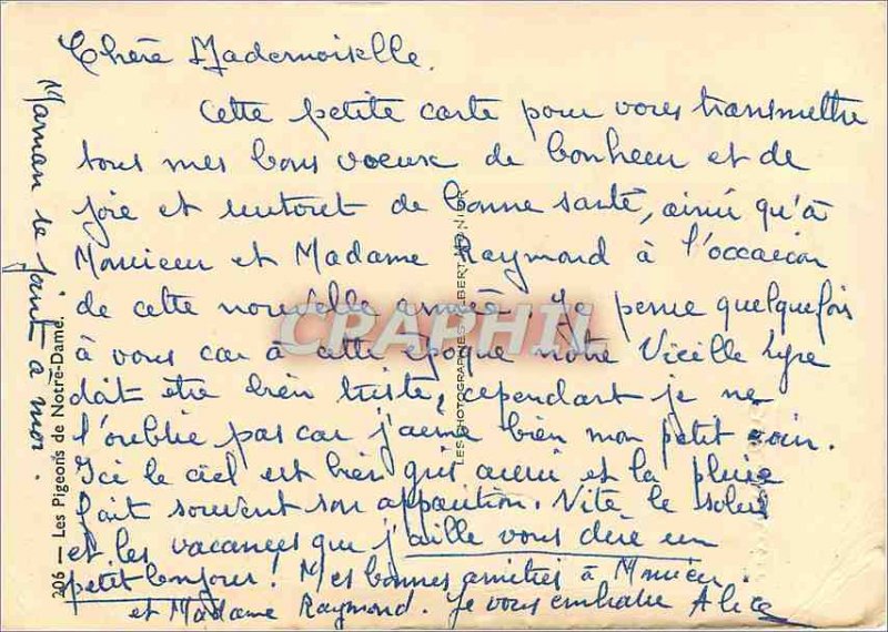 Modern Postcard Pigeons Notre Dame