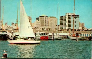 Sailboats Yacht Basin Corpus Christi Texas TX 1970s Chrome Postcard