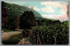 Postcard Holyoke Massachusetts c1911 Mount Tom Corn Field Crops Summit House