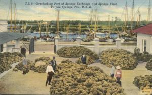 Sponge Exchange and Sponge Fleet - Tarpon Springs FL, Florida - pm 1941 - Linen