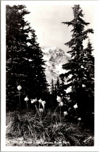 Vtg Mount Hood from Salmon River Park Oregon OR RPPC Real Photo Sawyers Postcard