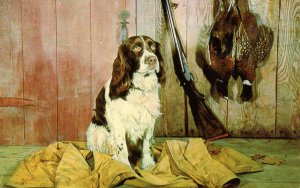 Bird Hunting Dog with Trophies