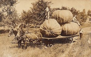 PUmpkins 1917 Missing Stamp 