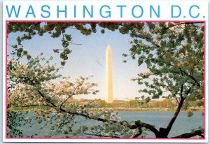 Postcard - Washington Monument - Washington, District of Columbia