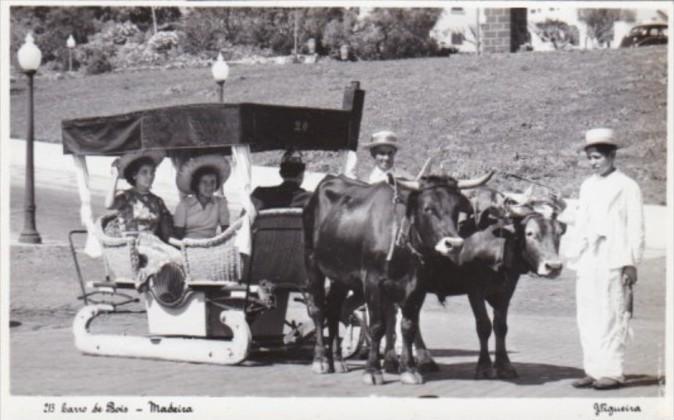 Portugal Madeira Carro de Bois Typical Ox Cart Real Photo