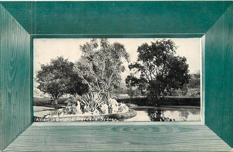 Australia Sydney C-1910 Botanic Gardens Green Frame like Postcard 22-8285