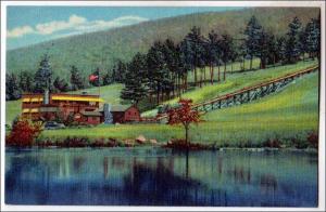 Cranmore Mt Skimobile, North Conway NH