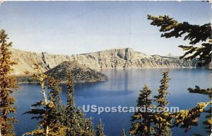 Rainbow Trout - Crater Lake, CA