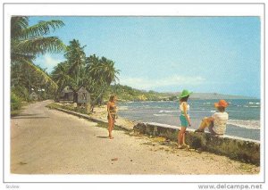 Martin's Bay . St. John , Barbados , 40-60s