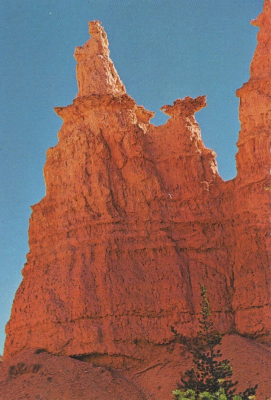Queen Victoria Bryce Canyon Utah USA Postcard