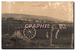 Old Postcard Aloxe Corton hitch in TOP vines