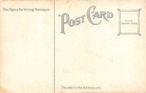 Toledo Ohio c1910 Postcard The Boody House Hotel