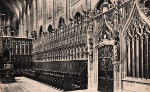 Cathedrale Ste-Cecile,Albi,France BIN