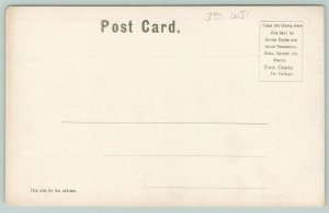 Haverhill MA~Clothing Store Billboard~Downtown Rooftops, Birdseye~Copper c1906 