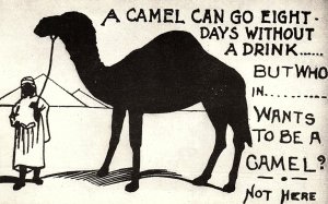 1930s CAMEL GO 8 DAYS WITHOUT A DRINK.... COMEDIC POSTCARD 46-251
