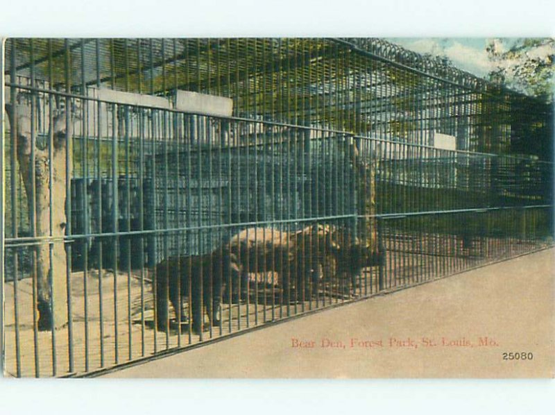 Divided-back BEAR CAGES AT FOREST PARK St. Louis Missouri MO AF7528